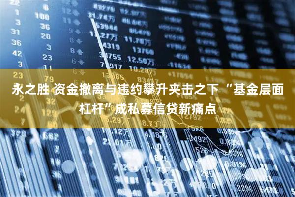 永之胜 资金撤离与违约攀升夹击之下 “基金层面杠杆”成私募信贷新痛点