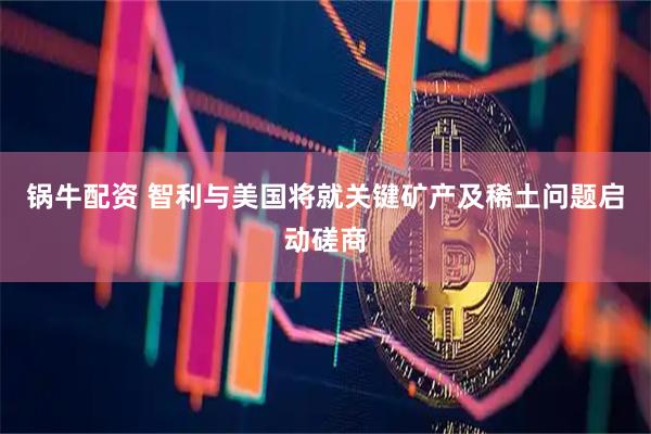 锅牛配资 智利与美国将就关键矿产及稀土问题启动磋商