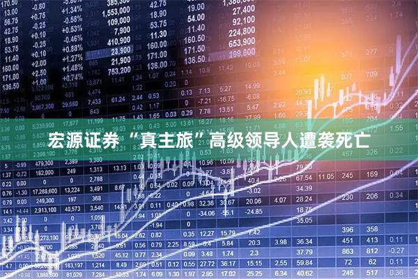 宏源证券 “真主旅”高级领导人遭袭死亡