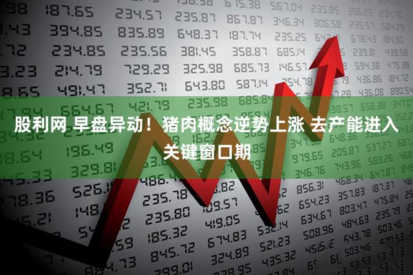 股利网 早盘异动！猪肉概念逆势上涨 去产能进入关键窗口期