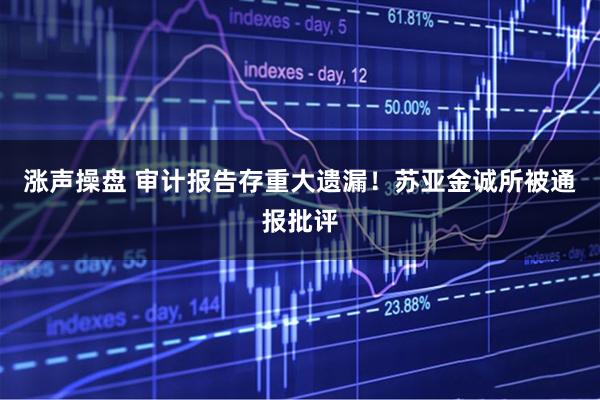 涨声操盘 审计报告存重大遗漏！苏亚金诚所被通报批评