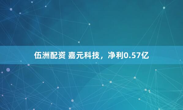 伍洲配资 嘉元科技，净利0.57亿