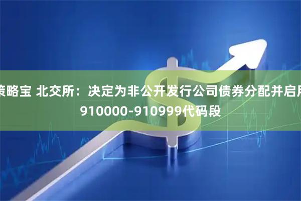 策略宝 北交所：决定为非公开发行公司债券分配并启用910000-910999代码段